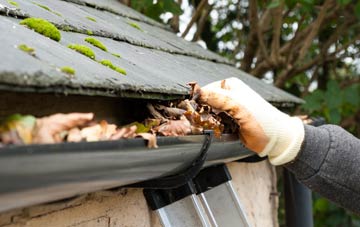 gutter cleaning Haygate, Shropshire